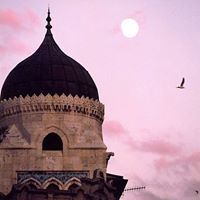 Safaa Amghar