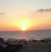 محمد أبو عمر