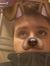 Mason S...