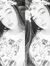 Noor Al...