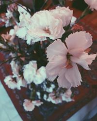 Bằng Bằng