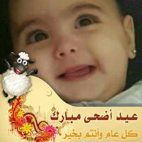 Abo Ali