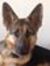 Livia C...