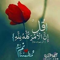 Sherif Abdel Kareem