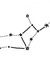 Astraea Bright