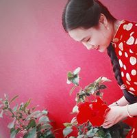Trương Bảo