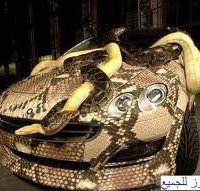 موسى سليمان