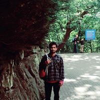 Hassan Ali