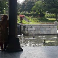 Razia Rashid