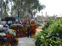 Shikha Jain