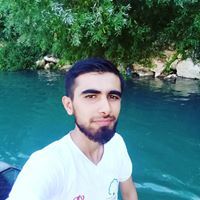 عامر العلي