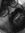 Balbind...