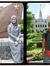Fadzli N