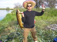 СЕРГЕЙ ЦУРКАНОВ