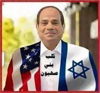 Mohamed Ghaly