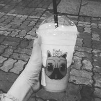 Viet Le