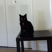 Penny