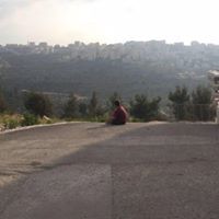 Ziad Arafeh