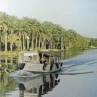 عباس الحجامي