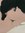 Valsh