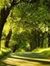 Sagar S...