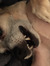 Maggie