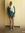 Kenzy A...