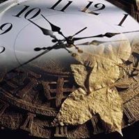 عادل عبدالعزيز