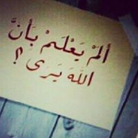 أ.عامر الشيب الطيباني