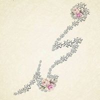 عايده الشامسي