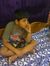 Muthuvel B
