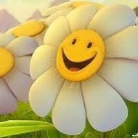 Joy Hope