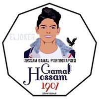 Hossam Gamal