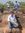 Nilesh ...