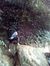 Joynal Joy