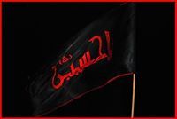 مرتضى القيسي