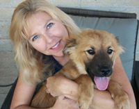 Judy Soderlund-Walsh