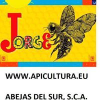 Jorge Bees