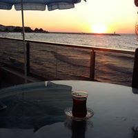 د.فاتن الشوبكي