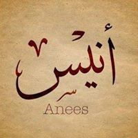 Anees Muhammad