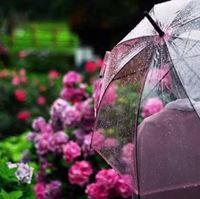 اثر الفراشه