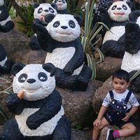 Gaurav Vidwans