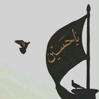 علياء الناصري