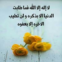 Romisaa Shetta