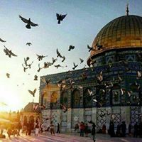 ابوحيدرة مسكنة