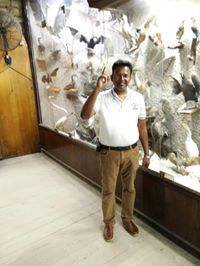 Ulaganathan Kodimari