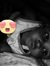 Vic Story
