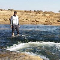 محمد الكاشف