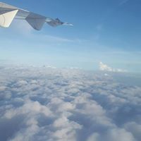 Axcell Junior Arifin