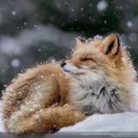 صخر محمدعبدالله